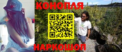 стаф Кунгур