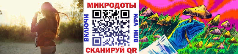Псилоцибиновые грибы Cubensis  кракен ССЫЛКА  Заводоуковск  где продают наркотики 