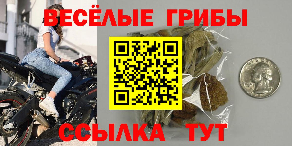 Заводоуковск  Галлюциногенные грибы ЛСД  Вход с VPN  Псилоцибиновые грибы прущие грибы 